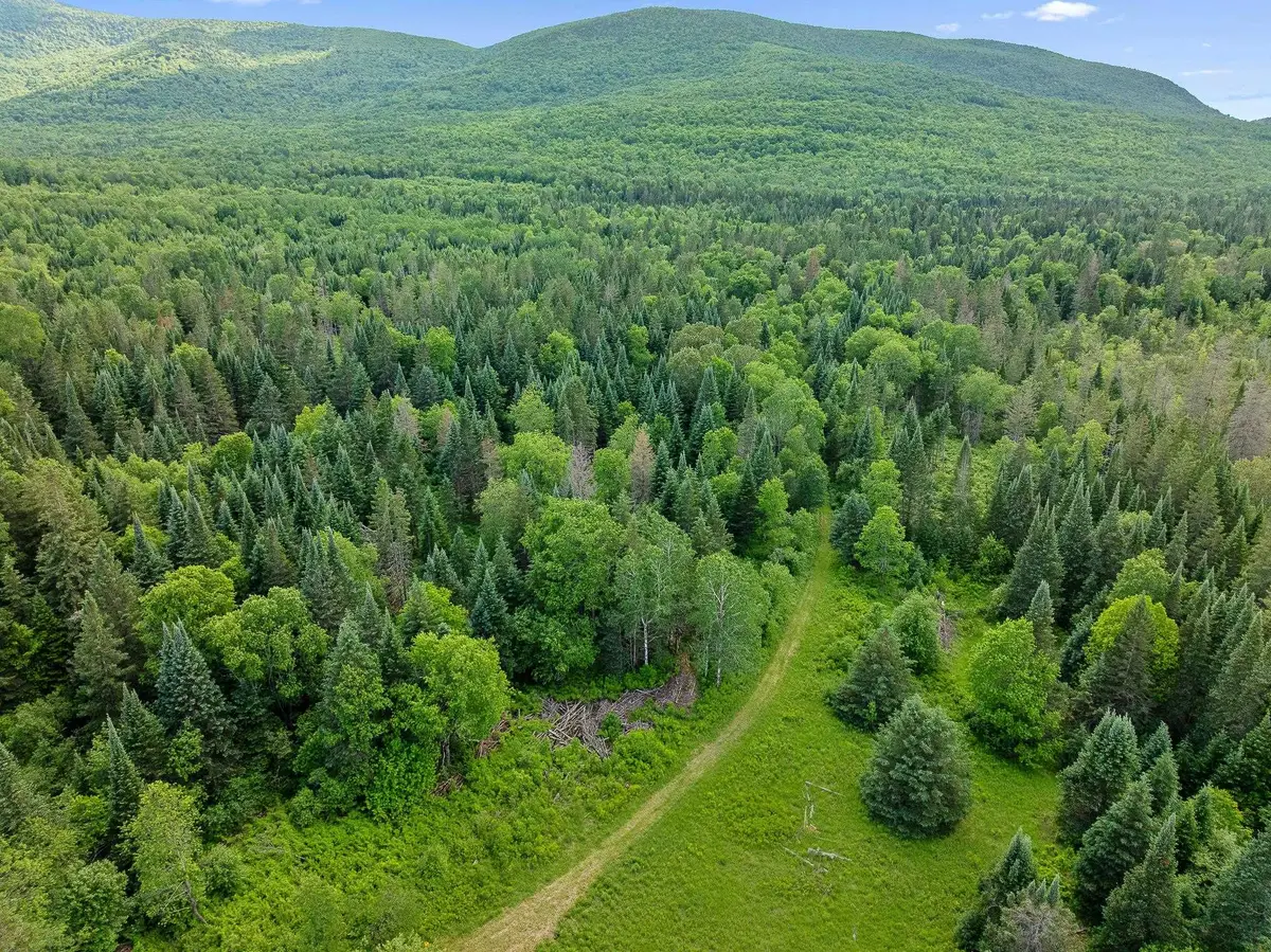 354 Gray Road, Columbia, NH 03576 - #1