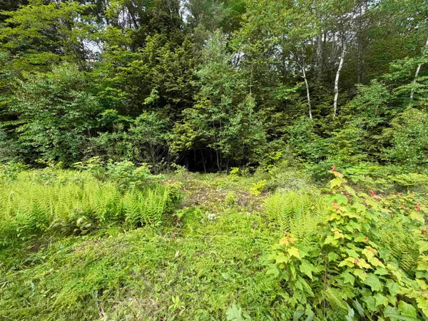 Mountain View Drive, Thornton, NH 03223