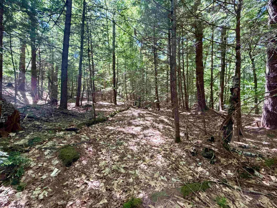 Mountain View Drive, Thornton, NH 03223 - #2