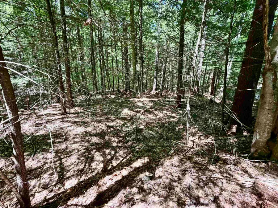 Mountain View Drive, Thornton, NH 03223 - #3
