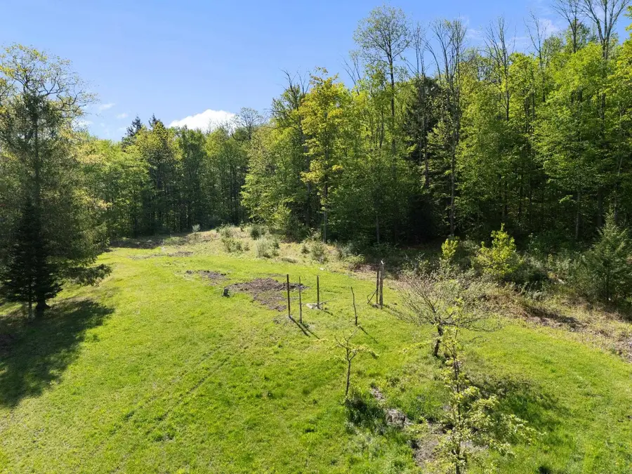 3524 Deer Park Road, Halifax, VT 05358 - #3
