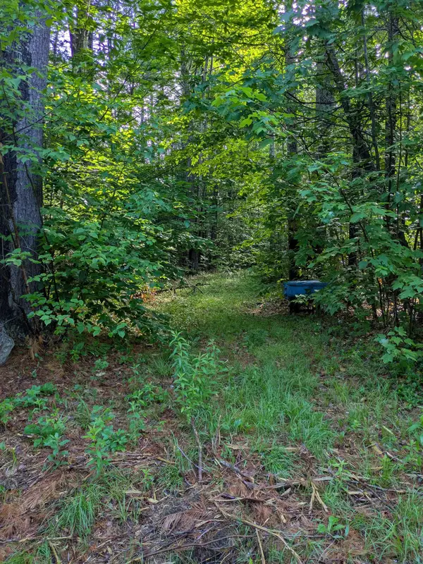 128 Brock Hill Road, Grafton, NH 03240