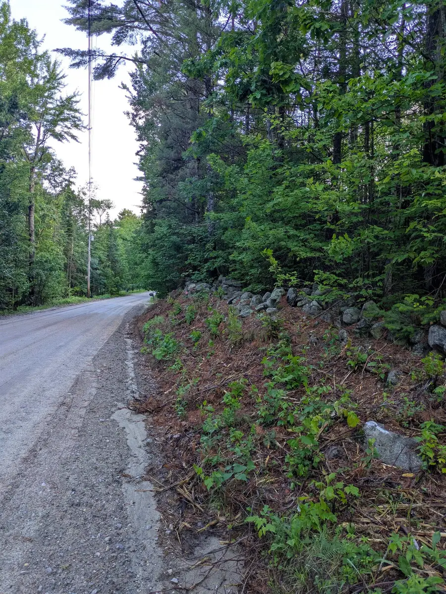 128 Brock Hill Road, Grafton, NH 03240 - #3