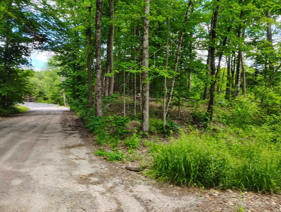 12 Frescoln Road, Wentworth, NH 03282 - #2