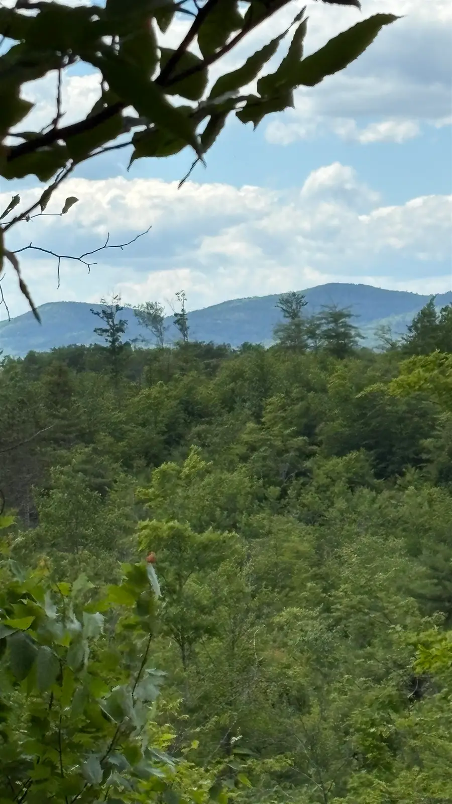 0 Oregon Road #2, Lyman, NH 03585 - #2