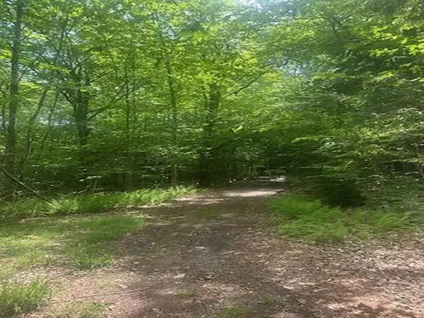 115 Deer Path Lane, Bridgewater, NH 03222