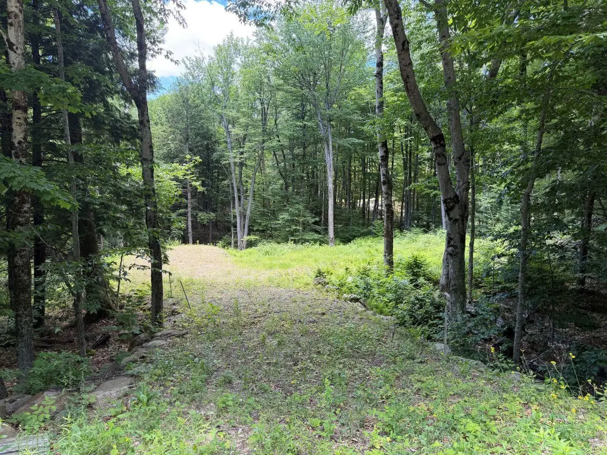 151 Red Coat Lane, Stoddard, NH 03464 - #1