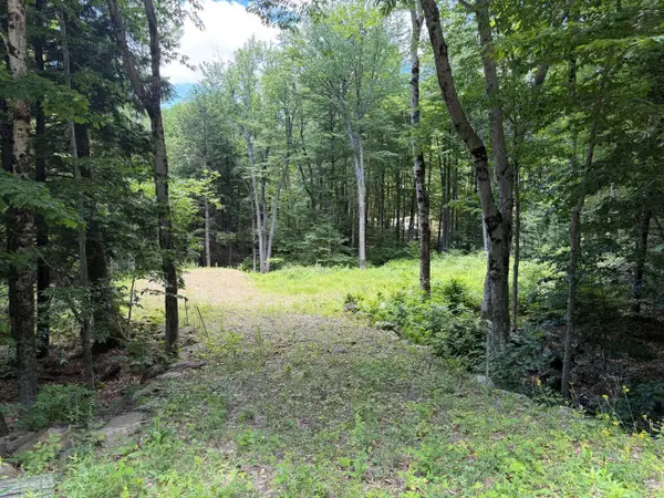 151 Red Coat Lane, Stoddard, NH 03464