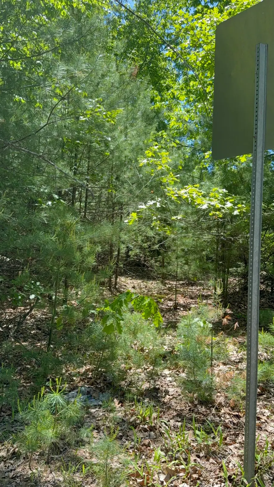 Lot 33, 34, 35 Washington Street, Barrington, NH 03825 - #2