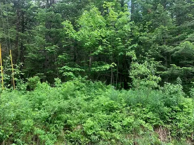 TBD Griffin Road, Stewartstown, NH 03576 - #1