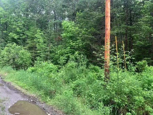 TBD Griffin Road, Stewartstown, NH 03576 - #2