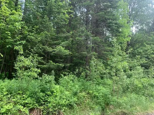 TBD Griffin Road, Stewartstown, NH 03576 - #3