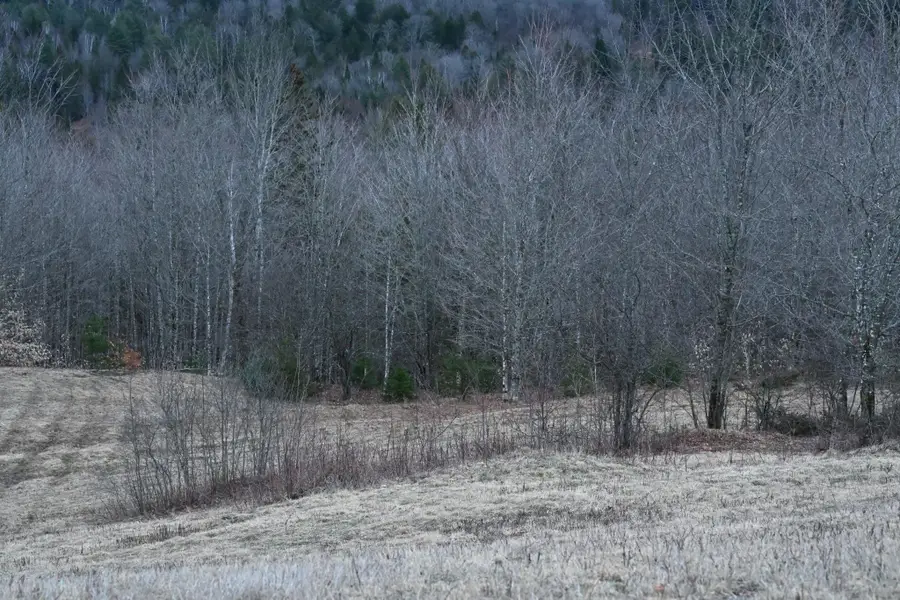0 Downing Road, Topsham, VT 05076 - #3