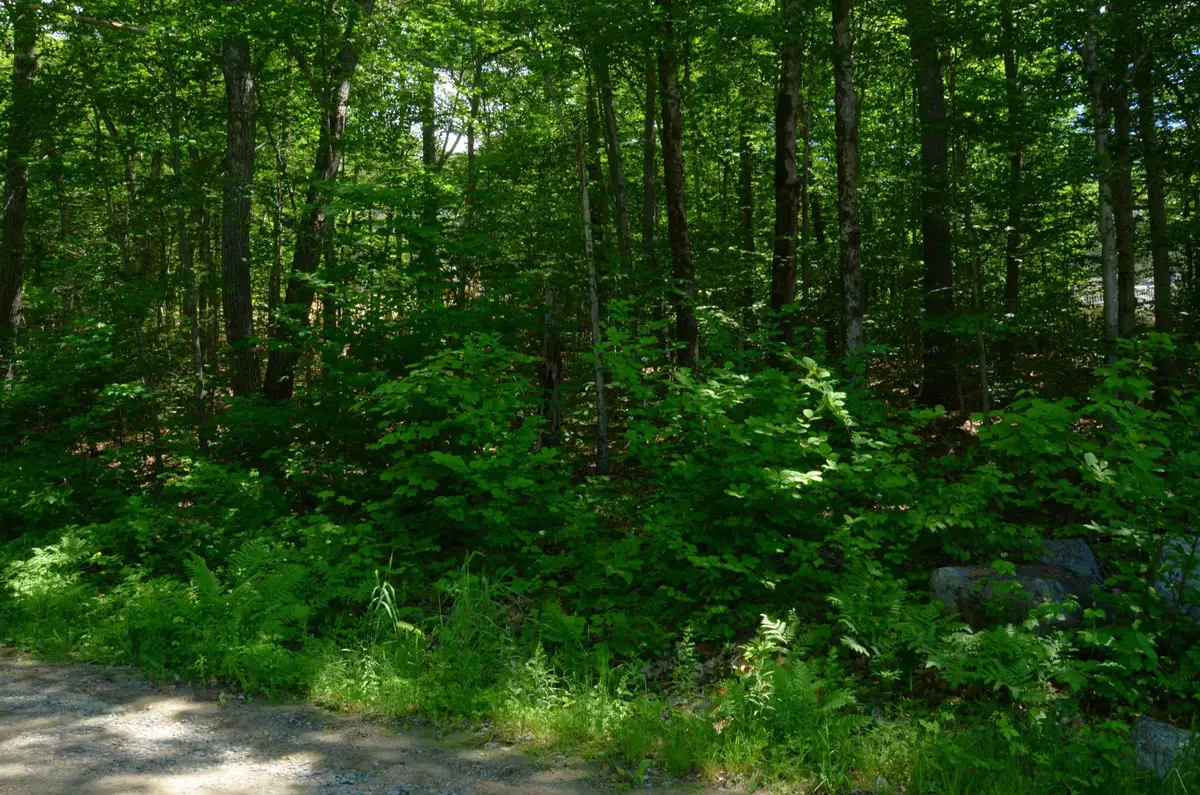 Scott Drive #Lot 112, Alton, NH 03810 - #1