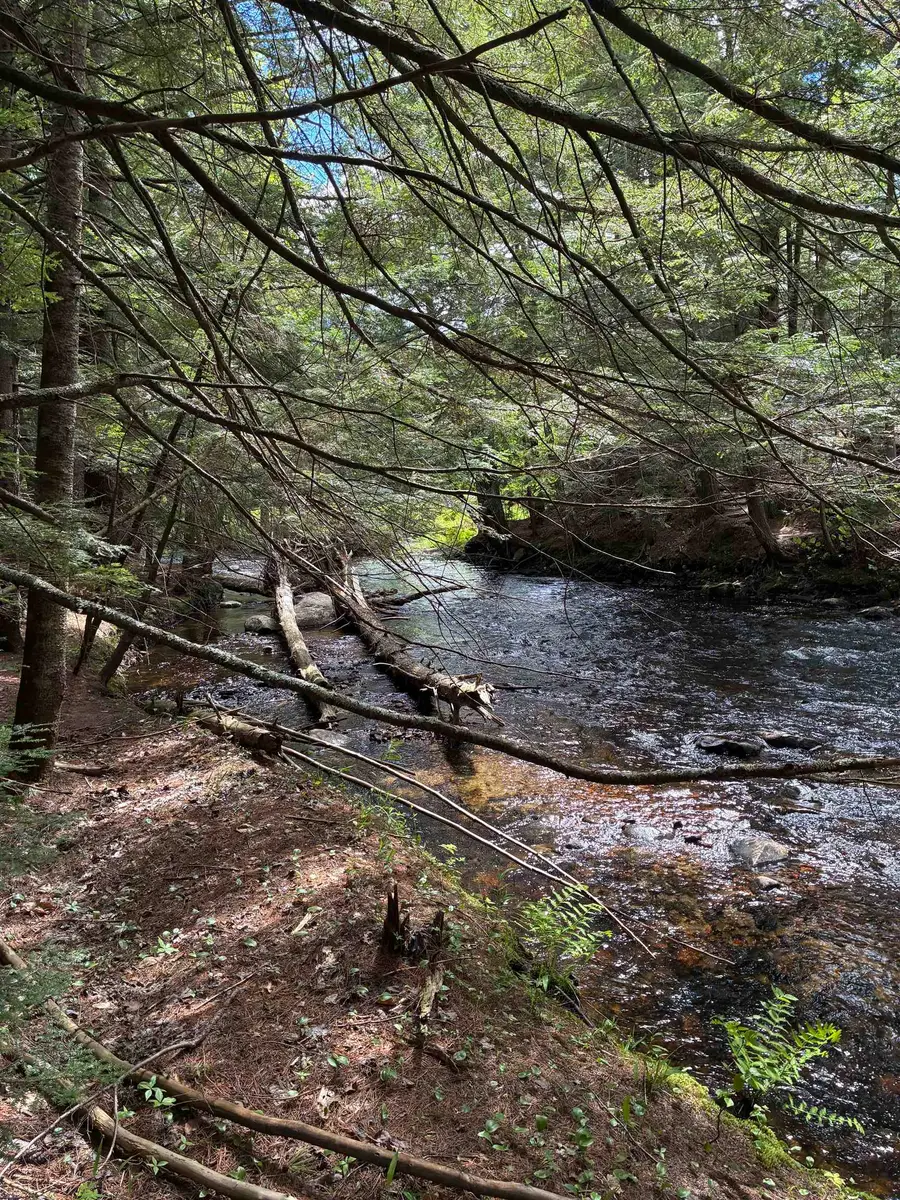0 Grafton Turnpike Road, Canaan, NH 03741 - #2