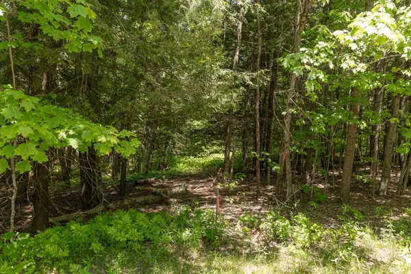 1243 North Hollow Road, Stowe, VT 05672