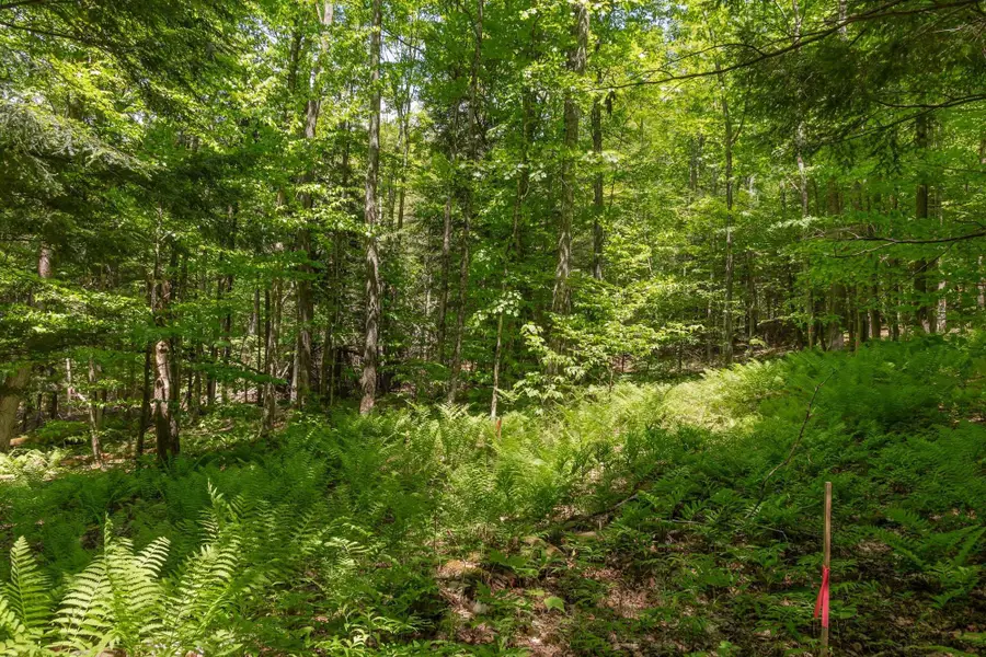 1243 North Hollow Road, Stowe, VT 05672 - #2