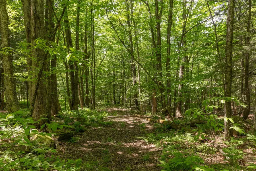 1243 North Hollow Road, Stowe, VT 05672 - #3