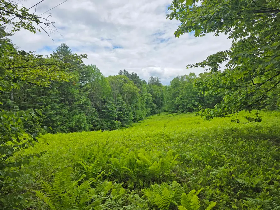 157 Newfane Hill Road, Newfane, VT 05345 - #2