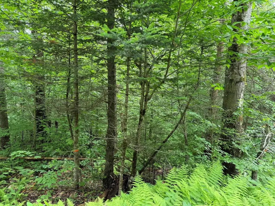 219 Woodbury Mountain Road, Calais, VT 05648 - #2