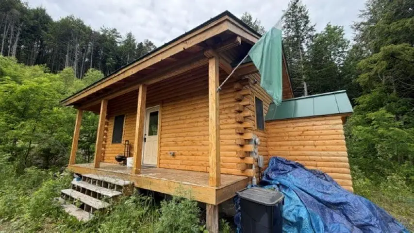 6160 VT route 66 Road, Randolph Center, VT 05061 - #3