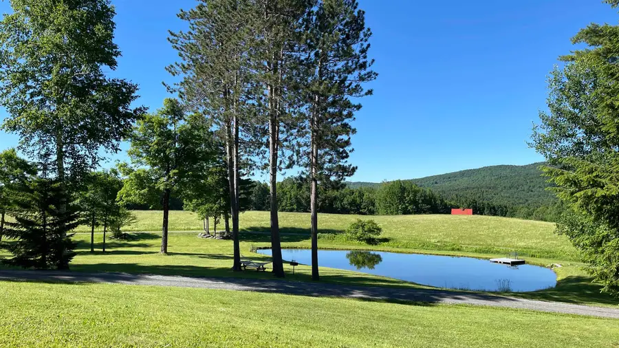 60 Whites Hill Road, Dover, VT 05356 - #3