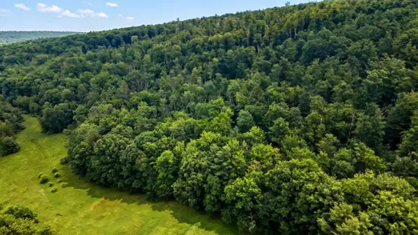 00 Hurricane Road #Backland, Westmoreland, NH 03467