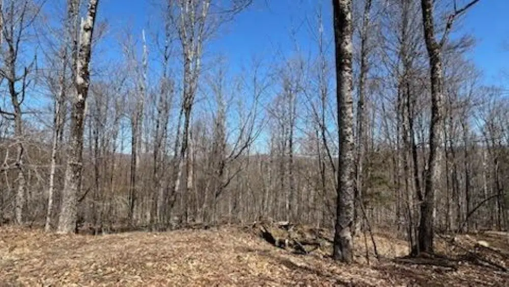 1376 Kingdom Road, Plymouth, VT 05056 - #1