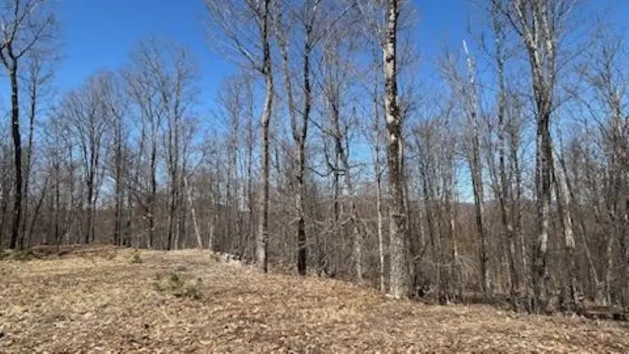 1376 Kingdom Road, Plymouth, VT 05056 - #3