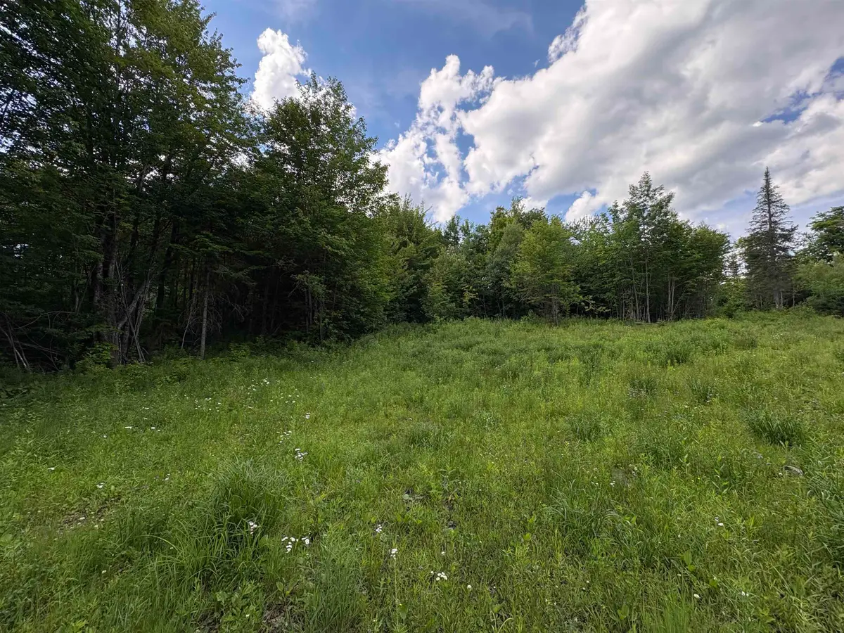 208 Drake Place Road, Sheffield, VT 06359 - #1