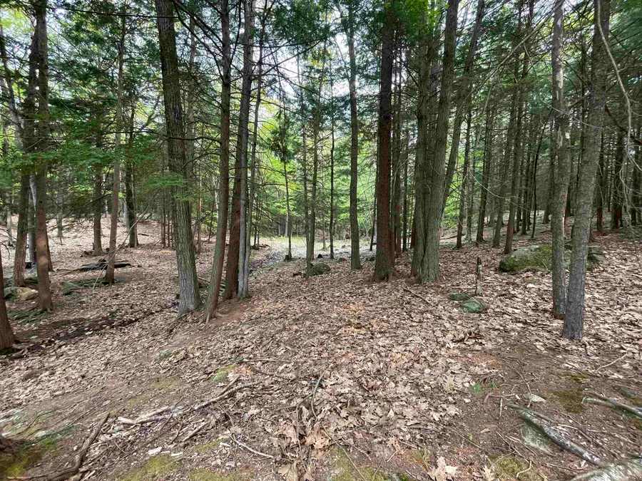 Map 212, Lot 49 Durrell Mountain Road, Belmont, NH 03220 - #3