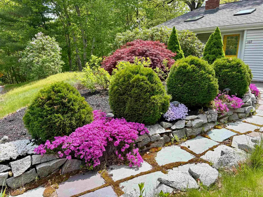107 Hackett Hill Road, Hooksett, NH 03106 - #2