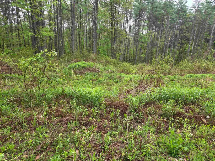 63 West Hill, Putney, VT 05346 - #3