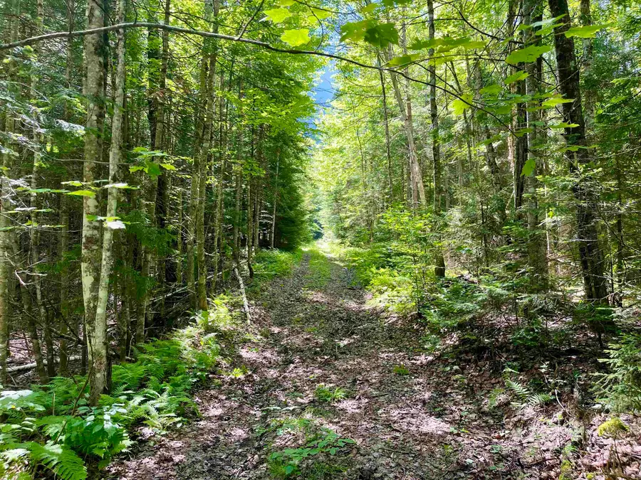 00 George's Boulevard, East Haven, VT 05837 - #2