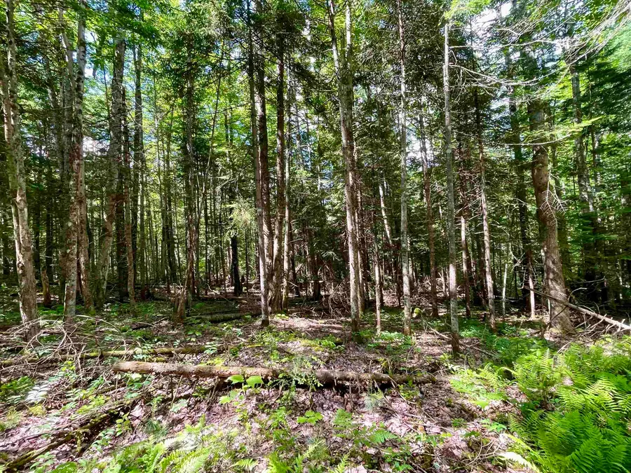 00 George's Boulevard, East Haven, VT 05837 - #3