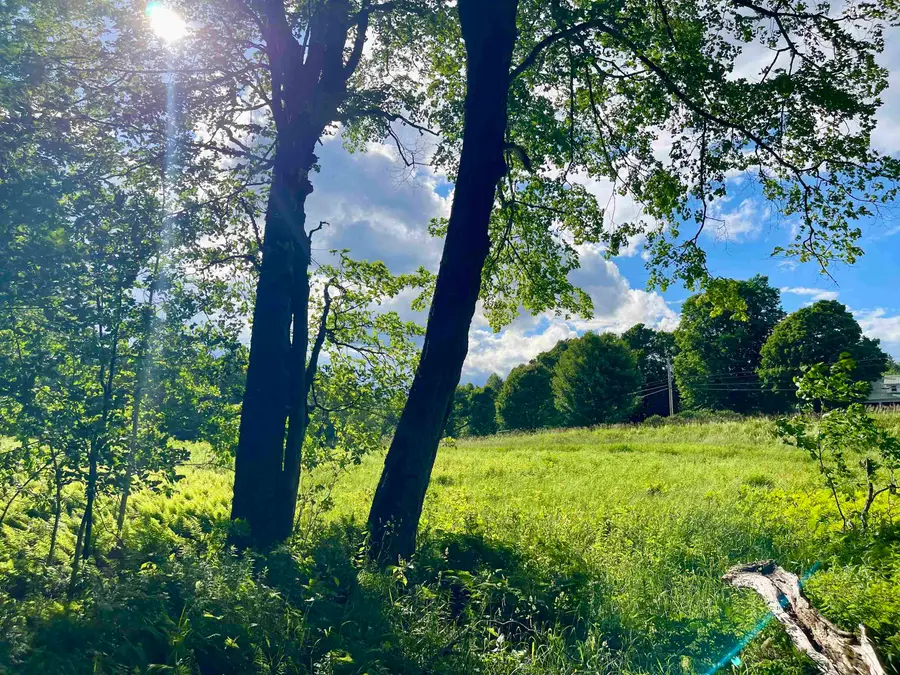 00 Old Farm Road, Burke, VT 05871 - #2