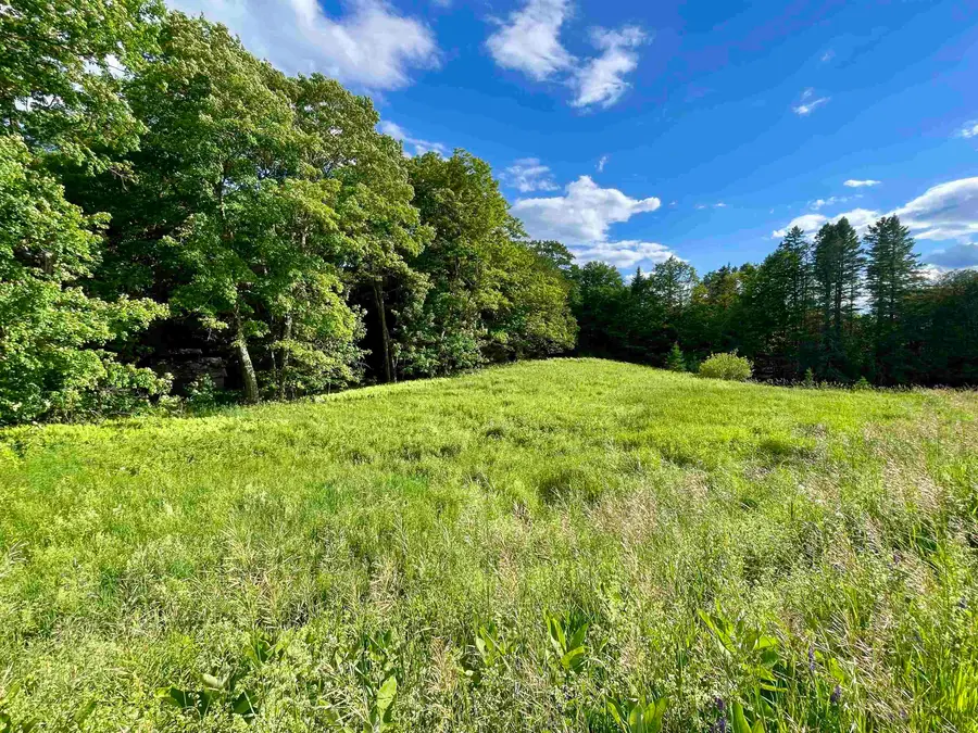 00 Old Farm Road, Burke, VT 05871 - #3