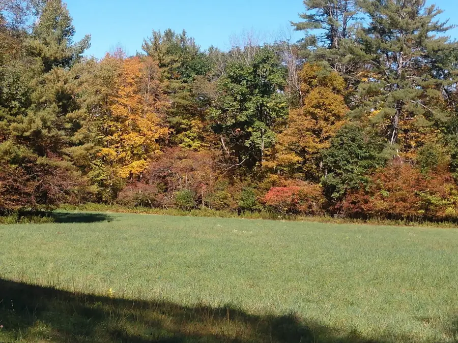 4 Cutler Road, Plainfield, NH 03781 - #2
