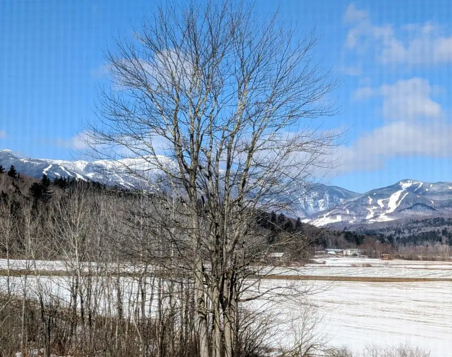 8 Wildlife Road #48, Stowe, VT 05672 - #3