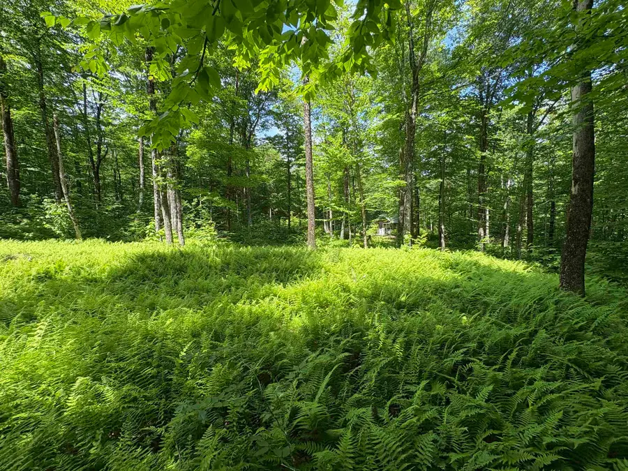 7601 VT Route 105 E, Jay, VT 05859 - #2