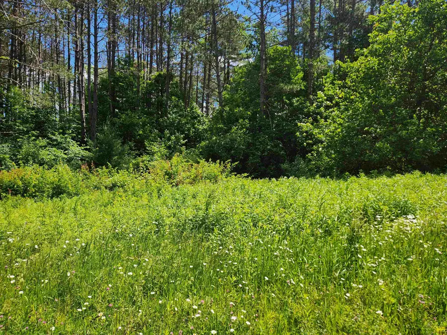 0 Stage Road, Unity, NH 03743 - #3