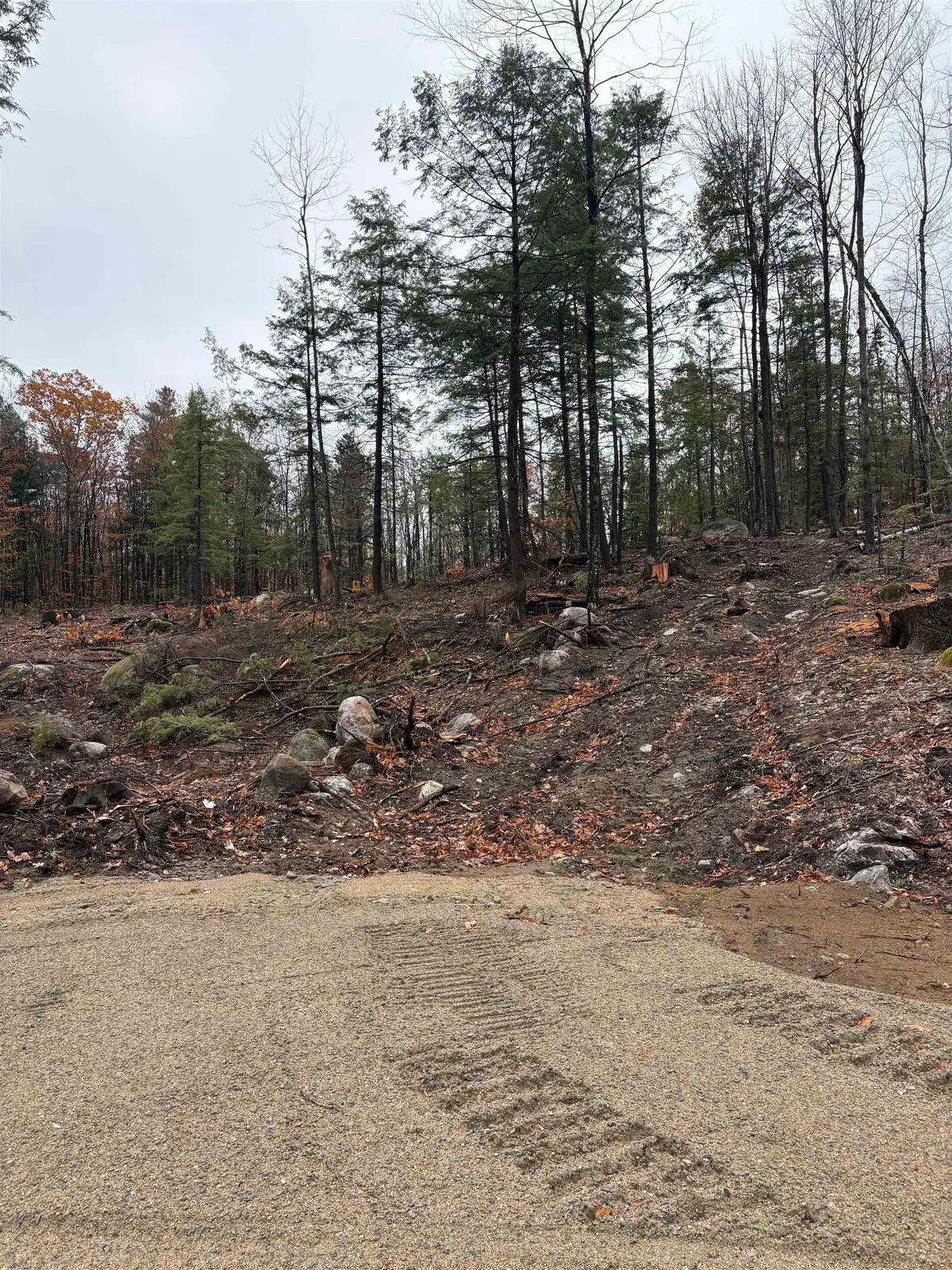 12 Sugarloaf Drive #10, Ossipee, NH 03814 - #1