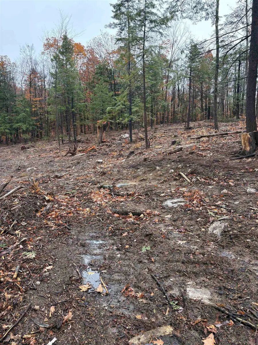 12 Sugarloaf Drive #10, Ossipee, NH 03814 - #2