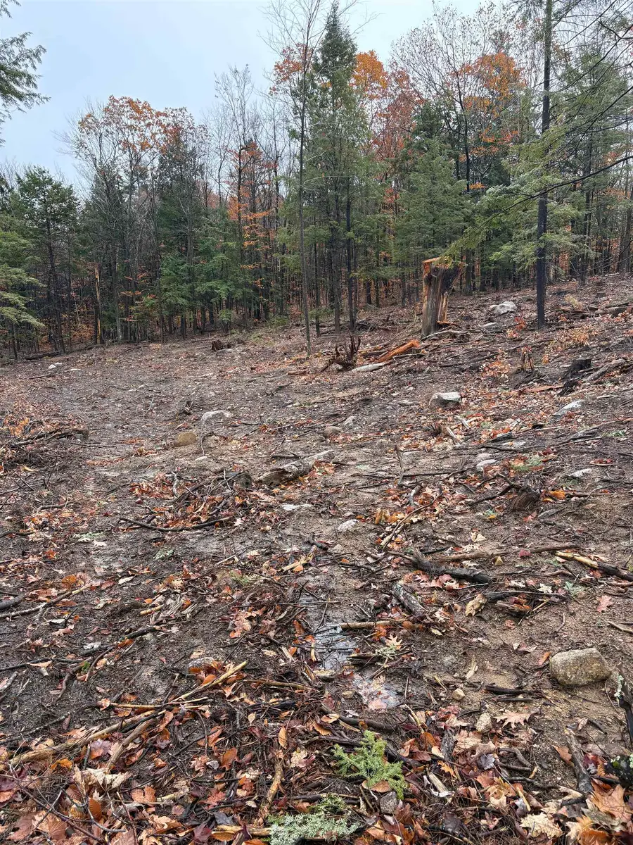12 Sugarloaf Drive #10, Ossipee, NH 03814 - #3