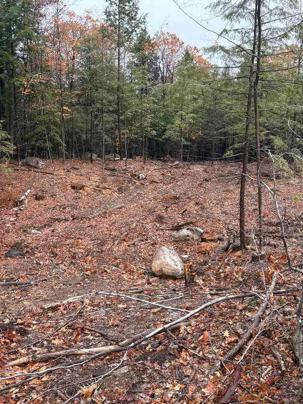 7 Sugarloaf Drive #8, Ossipee, NH 03814
