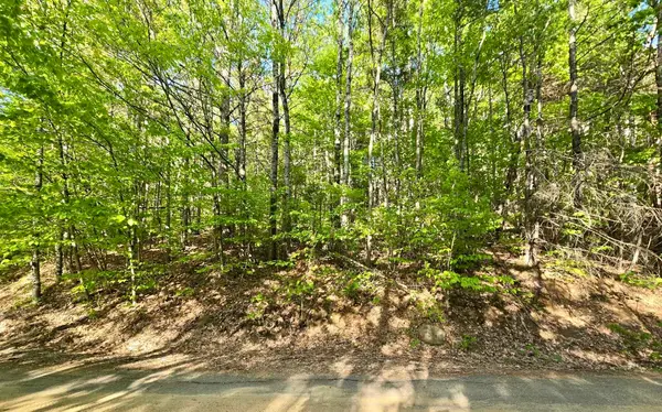 00 Isaac Fox Drive, Campton, NH 03223