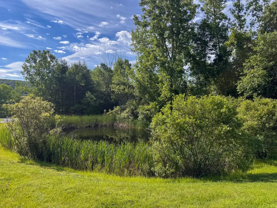 111 Harmony Lane, Dorset, VT 05255 - #3