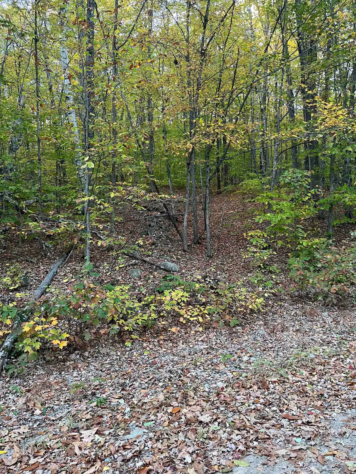10-4-1 David Thompson Drive, Campton, NH 03223 - #1