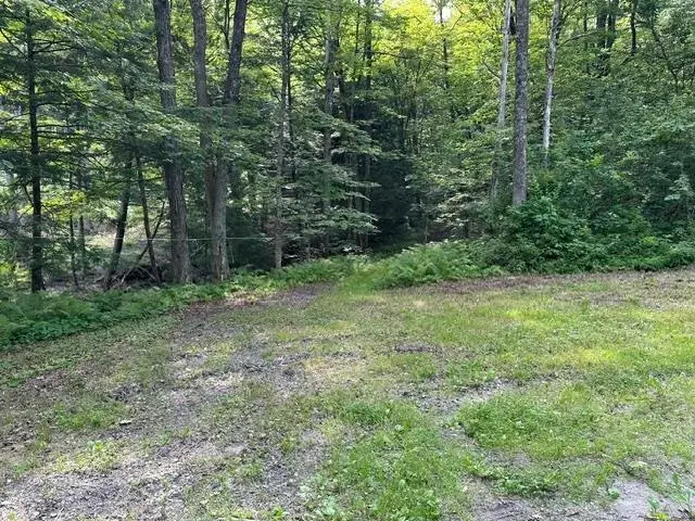 Gird Lot Road, Weathersfield, VT 05151 - #2