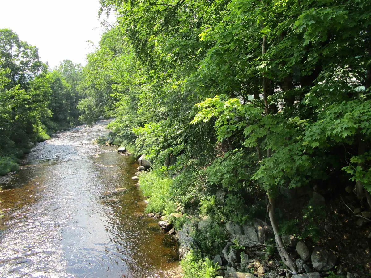 1950 North Main Street, Londonderry, VT 05148 - #1